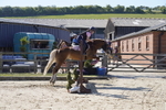 _DSC0591