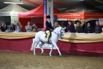 SBM_15887