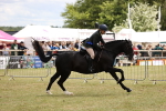 SBM_14811
