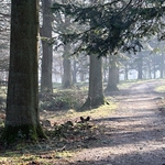 lake district at dawn, holmewood