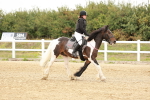 SBM_007230