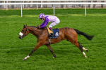 150524-Race 4-Secret Satire-4250