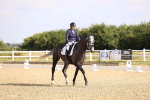 SBM_008499