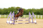 SBM_001301