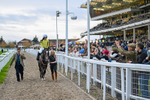 171124-Race 5-Burdett Road-4378