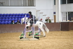 SBM_002620