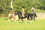 SBM_59183