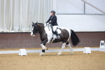 SBM_000248