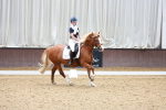 SBM_008072