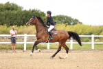 SBM_000282