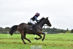 466-SPARHANGER.VELVET-Tichy.Sanders-SC+XC portfolio