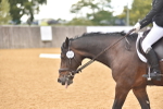 SBM_10156