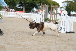 SBM_29156