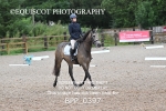 BPP_0397