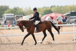 SBM_11461