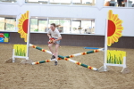 SBM_004311