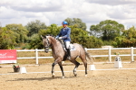 SBM_004564