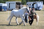 WJ6_4539
