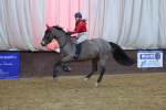 SBM_004565