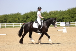 SBM_009042