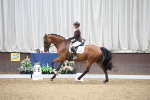 SBM_003430
