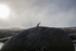 Foynøya 7144