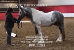 BPP_1293