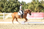 SBM_007729
