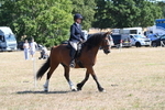 WJ6_8223