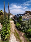 The Bulb Shop, St Agnes