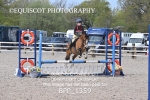 BPP_1359