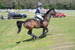WJ7_8945