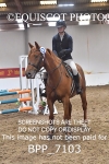 12TH OCTOBER 2025 -  Senior British Show Jumping Cat 1 & Club - MUIRMILL EC portfolio
