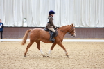 SBM_001044