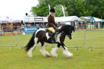 SBM_01146