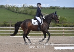 BPP_6173