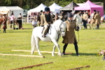 SBM_11296