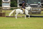 SBM_10456