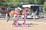 BPP_2672