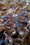 Flowers Set 14 - 06