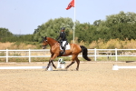 SBM_009452