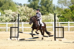 SBM_007360