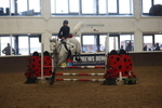 Show Jumping portfolio