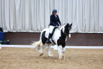 SBM_003166