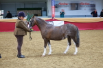SBM_00474