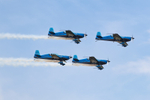 The Blades Aerobatic Team portfolio