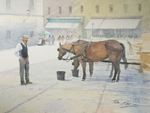 'Carriage Horses'