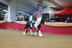 SBM_09878