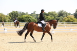 SBM_003374