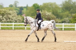 SBM_005893